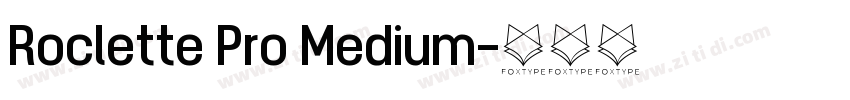 Roclette Pro Medium字体转换